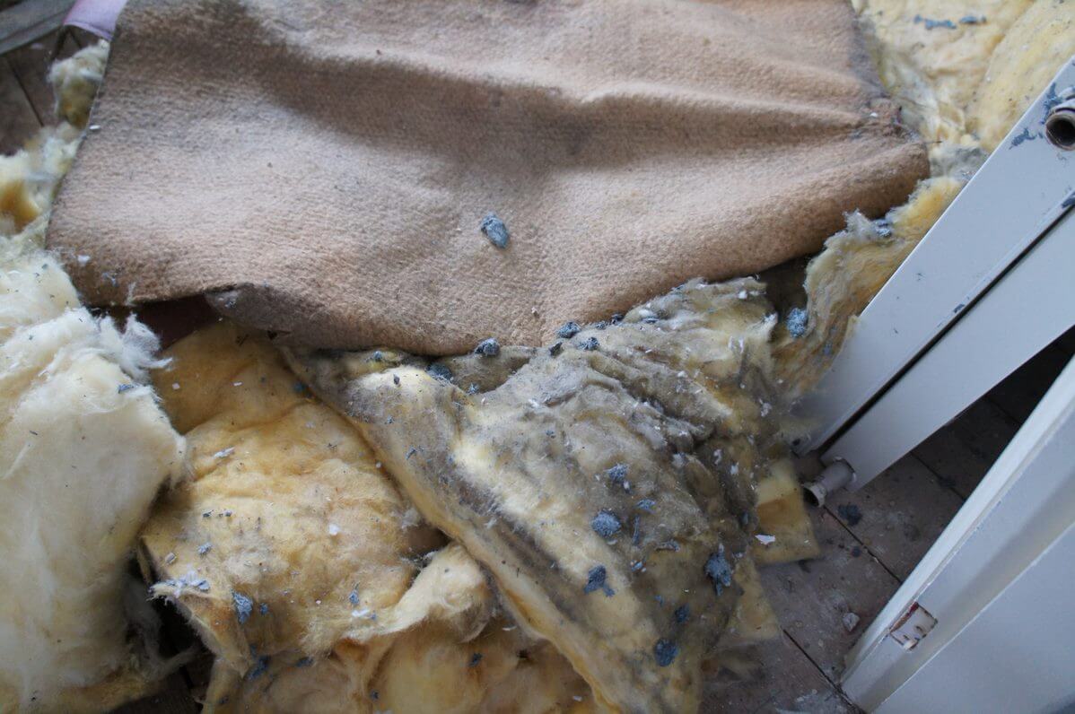 Loft insulation with asbestos contamination